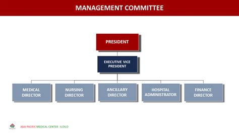 Board Of Directors And Organizational Structure Asia Pacific Medical