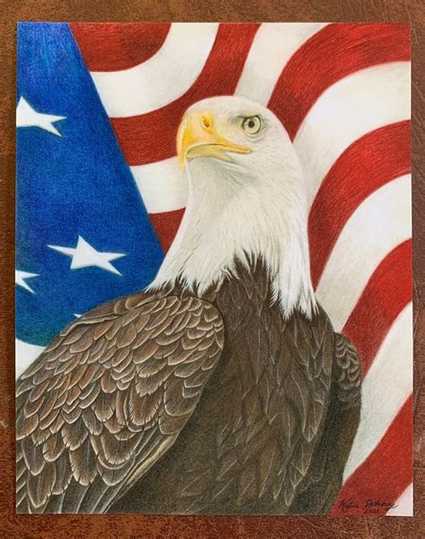 Bald Eagle Giclee Print Etsy Eagle Drawing American Flag Drawing