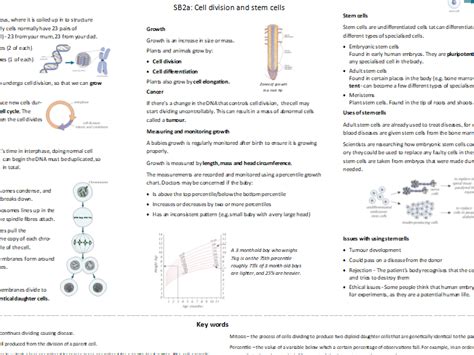 Edexcel Sb2 Revision Mat Cells And Control Teaching Resources