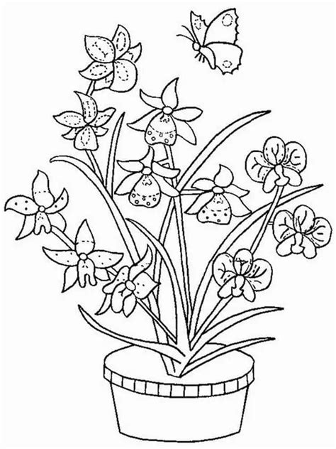 Orchid And A Butterfly Coloring Page Free Printable Coloring Pages