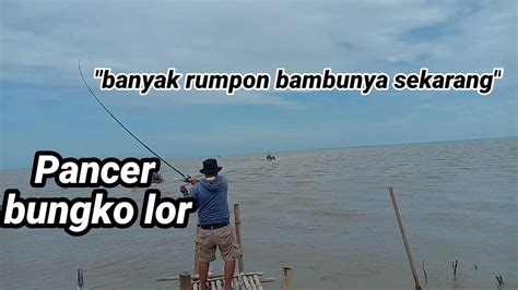 Mancing Ikan Dukang Kedukang Di Muara Bungko Lor Youtube