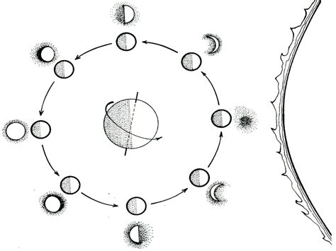 Moon Phases Diagram | Quizlet