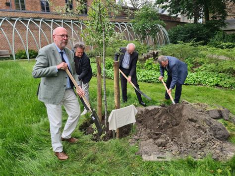 Un arbre Laudato si a été planté dans le jardin du cardinal De Kesel