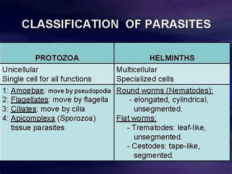 Intestinal Protozoa Classification Of Parasites Protozoa Helminths Unicellular