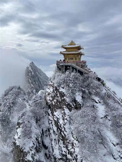 全国游客：老君山景区免门票邀您赏雪啦！老君山景区赏雪门票新浪新闻