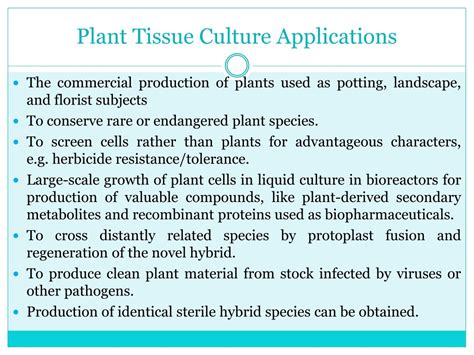 Ppt Plant Tissue Culture Powerpoint Presentation Free Download Id