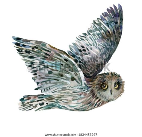 Flying Owl Watercolor Illustration On Isolated Stock Illustration ...