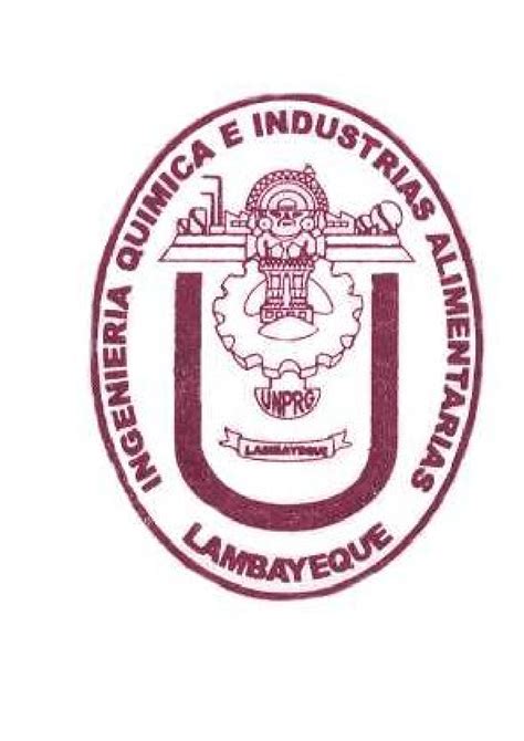 Doc Universidad Nacional Pedro Ruiz Gallo Facultad De Ingenieria