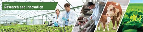 Province Of Manitoba Agriculture Research And Innovation