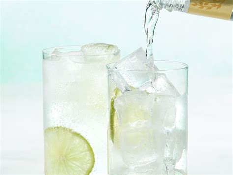 Best Gin for a Gin and Tonic, According to Bartenders | The Kitchn