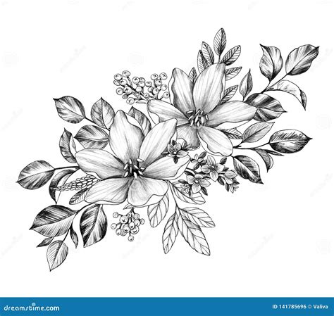 Hand Drawn Bunch with Various Flowers Stock Illustration - Illustration of leaves, composition ...