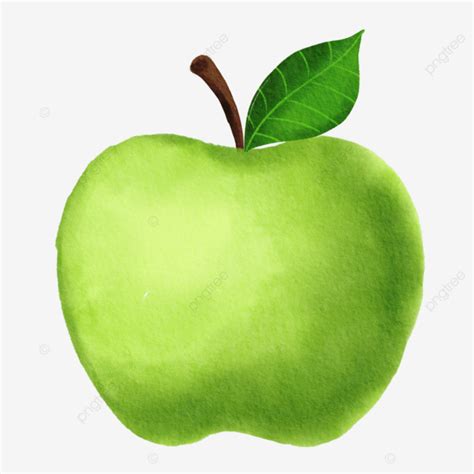 Acuarela Verde Manzana Fruta Clipart Con Hoja Ilustración PNG Manzana