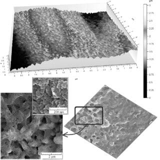 Micro-and nanostructure surface morphology of composite titania ...