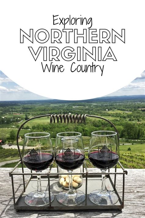 Northern Virginia Wine Tasting Quattro Goomba Winery Cana Vineyards