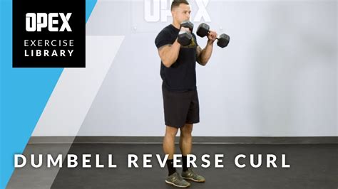 Reverse Curl Dumbbell