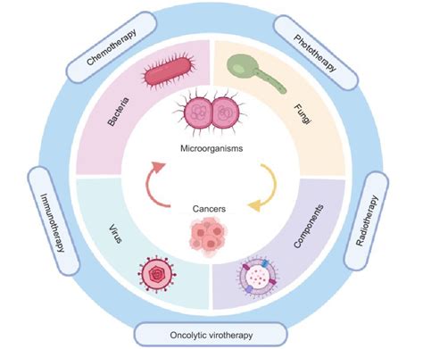 Schematic diagram of microorganism-based delivery systems for targeted ...