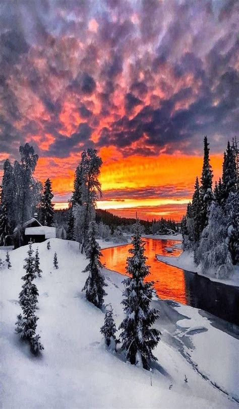 The Sun Is Setting Over Some Trees And Water In The Distance With Snow