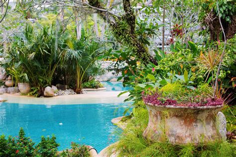 Creating a Tropical Paradise: Top 5 Exotic Water Features for Your Garden