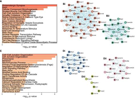 Gene Set Enrichment Analysis Gsea Results Were Obtained Via Metascape