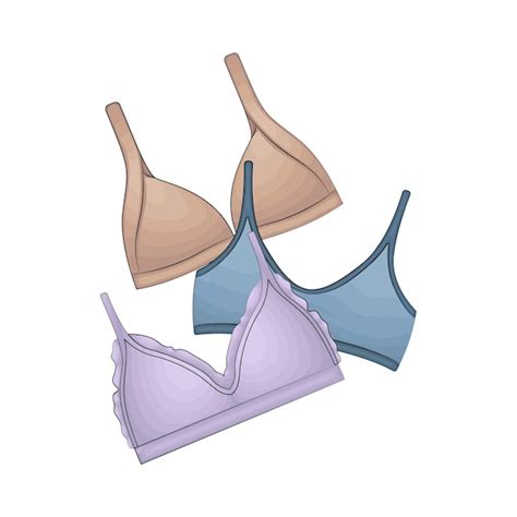 Lingerie Png Vector Psd And Clipart With Transparent Background