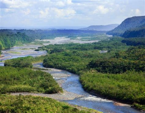 Lais Puzzle Rio Napo Ecuador Teile