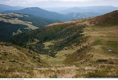 The beauty of the Carpathian Mountains