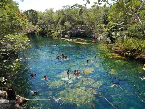 Jardin del Eden Cenote - Review - Playa del Carmen Blog