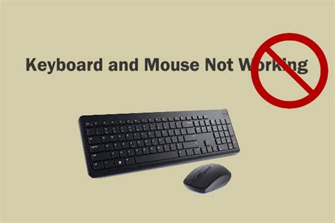 4 Easy Ways For Keyboard And Mouse Not Working After Reset