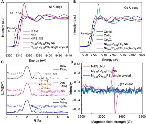 Structural Characterization By Xas And Esr Spectroscopy Of Various Ni