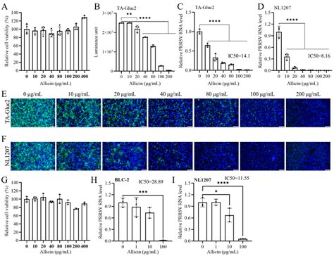 The Anti Prrsv Activity Of Allicin In Marc Cells And Pam A The