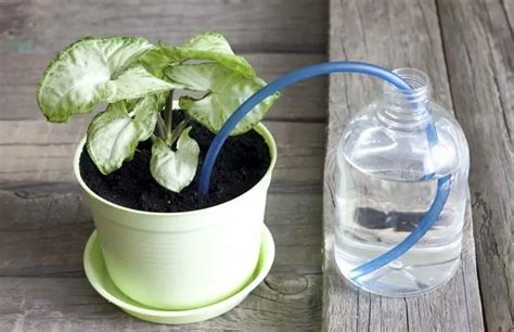 Build Your Own Easy DIY Indoor Watering System - UrbanOrganicYield.com