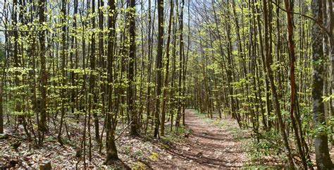 Wanderung Holderbank SO Tiefmatt Roggenflue Roggen Kluser Grat