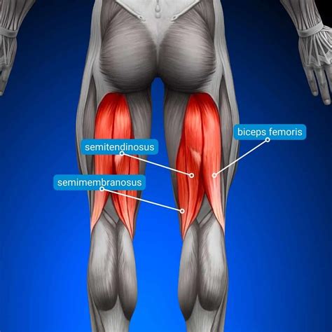 Hamstring Injury Treatment Guide for Athletes