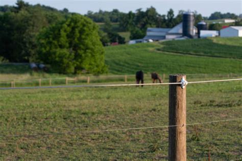 Electric Fence Stock Photos Pictures And Royalty Free Images Istock