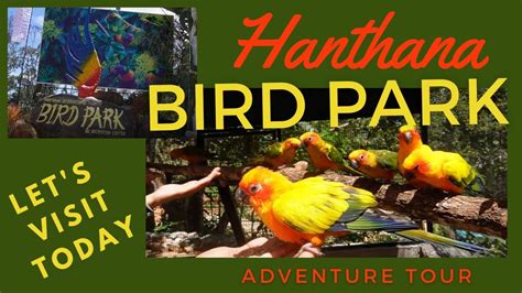 Visit BIRD PARK Hanthana Kandy Sri Lanka Sosrilanka Birdpark Bird