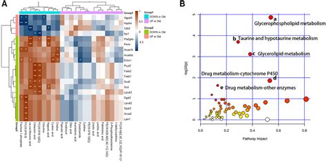 A Comprehensive Analysis Of Age Related Metabolomics And