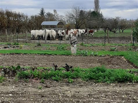 Recettes De Le Jardin De Cruik