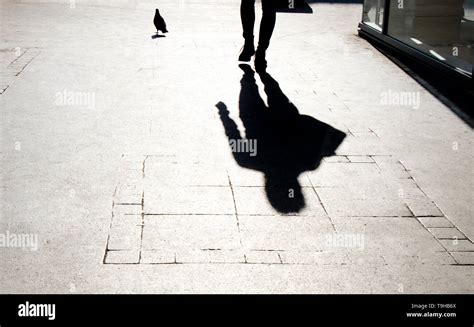 Blurry Shadow Silhouette Of A Person And A Pigeon Walking On City