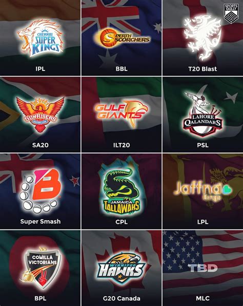 Champions Of Different T20 Leagues Around The World Rcricket