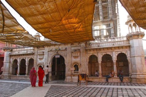 O TEMPLO DOS RATOS na Índia um passeio até Karni Mata desde Bikaner