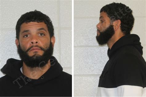 christopher wade houston county jail bookings