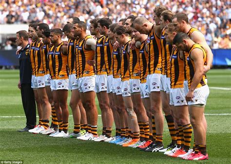 Afl Grand Final 2015 Sees Hawthorn And West Coast Eagles Battle For