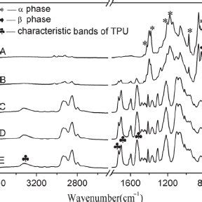 Dsc Melting And Crystallization Behavior Of Pvdf Tpu Blends With