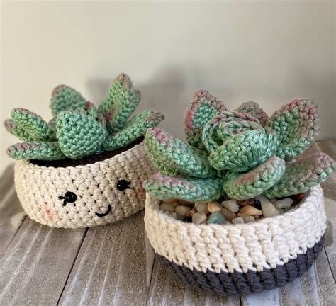 Rosette Succulent Crochet Pattern Etsy Hong Kong