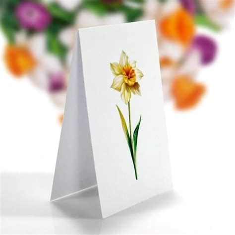 Cutpopup Narcissus Bouquet Carte D Anniversaire Pop Up Carte De V Ux