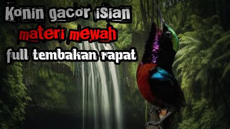 Konin Gacor Isian Materi Mewah Full Tembakan Rapat Youtube