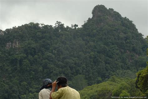 arti unik: [PIC] Wisata Petualangan Hutan Tropis Kalimantan, 'Fear ...