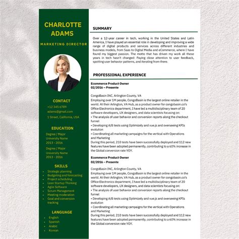 Professional Headshot Resume Template For Word Modern Cv Template With