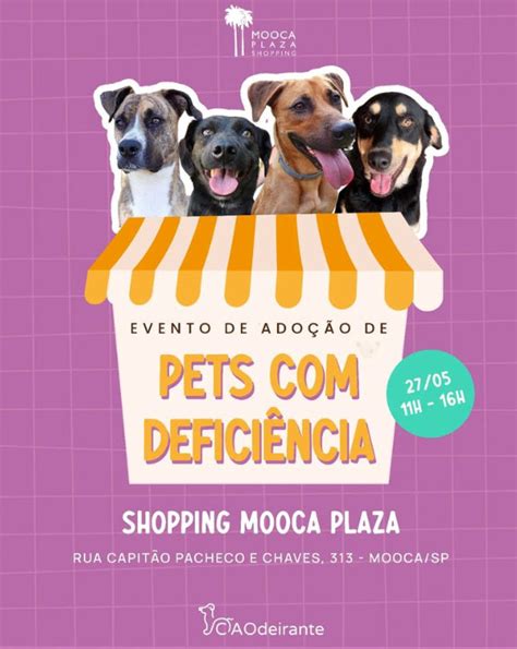 AToupeira Mooca Plaza promove Evento de Adoção de pets