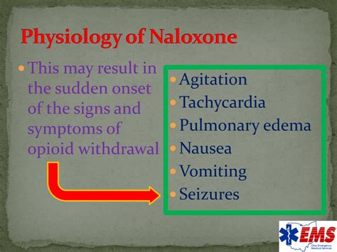 PPT - INTRANASAL NALOXONE PowerPoint Presentation, free download - ID:1999313